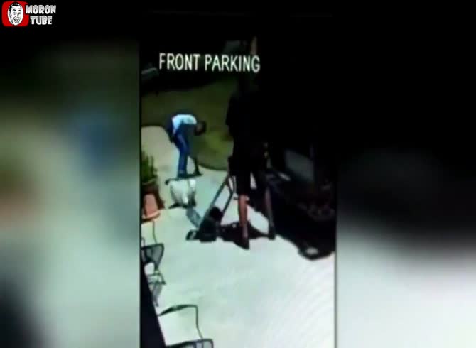 Video :When a UPS delivery driver kicks a dog, the owner becomes upset
